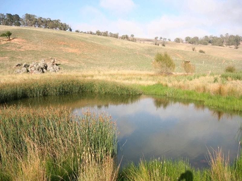 Mount David NSW 2795