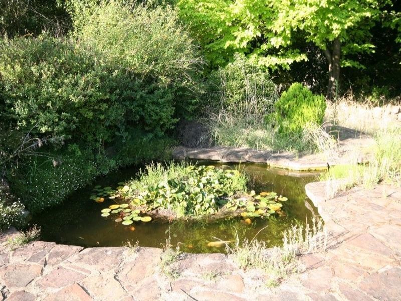 Mount David NSW 2795