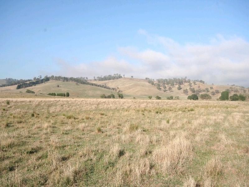 Mount David NSW 2795