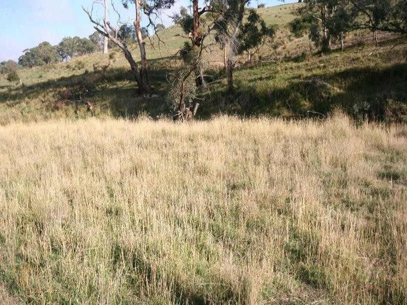 Mount David NSW 2795