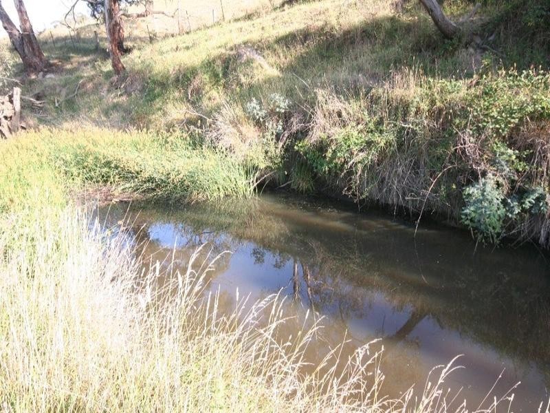 Mount David NSW 2795