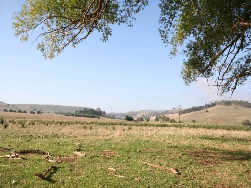 Mount David NSW 2795