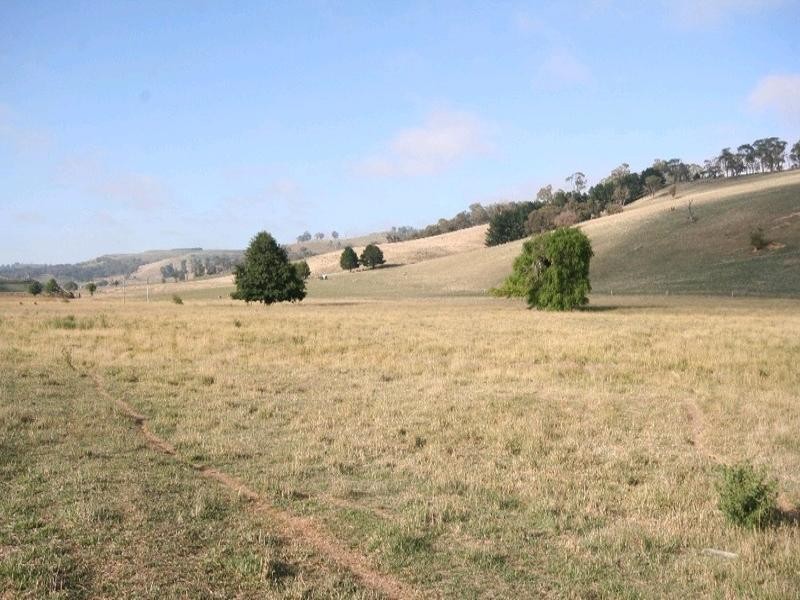 Mount David NSW 2795