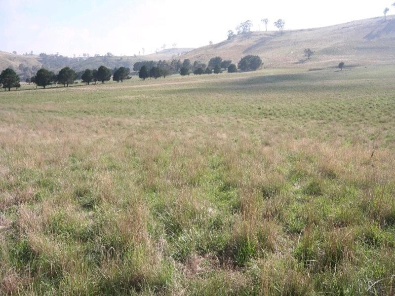 Mount David NSW 2795