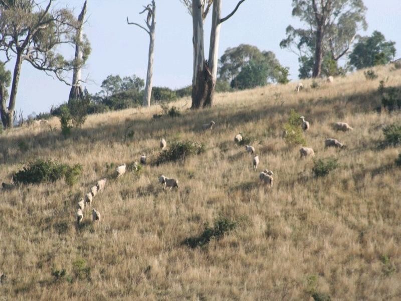 Mount David NSW 2795