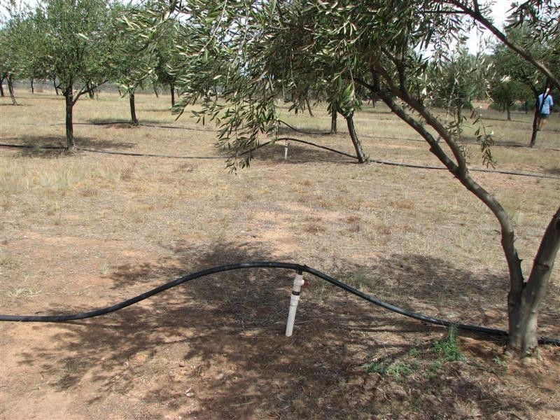 410 Stoney Hill Road, Cowra NSW 2794