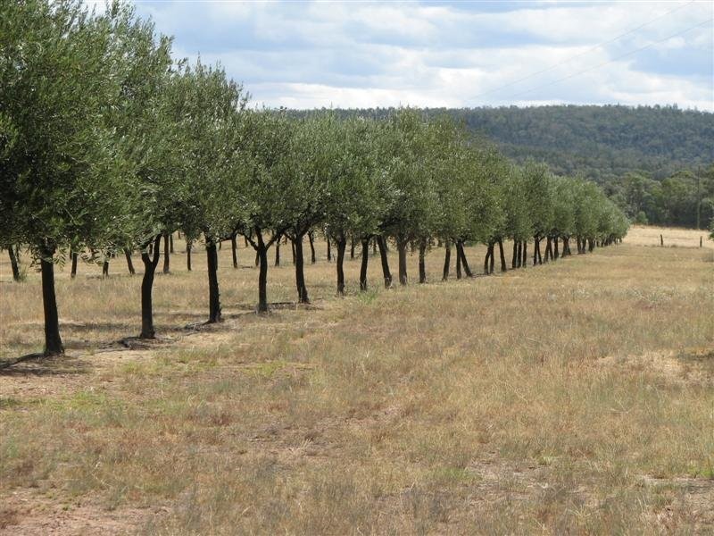 410 Stoney Hill Road, Cowra NSW 2794