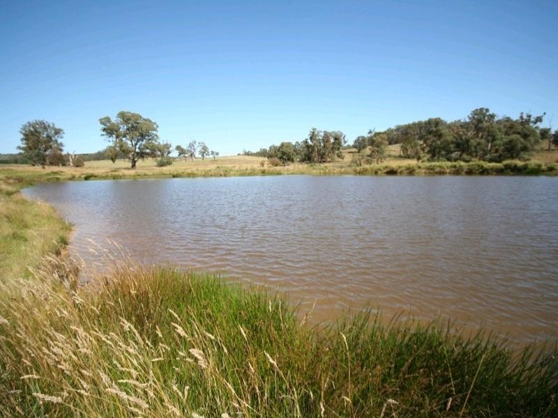 Dark Corner NSW 2795