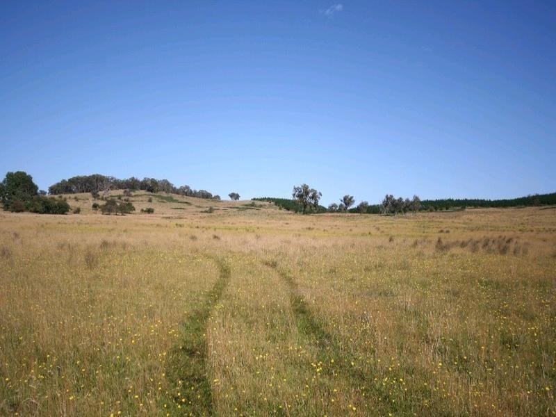 Dark Corner NSW 2795