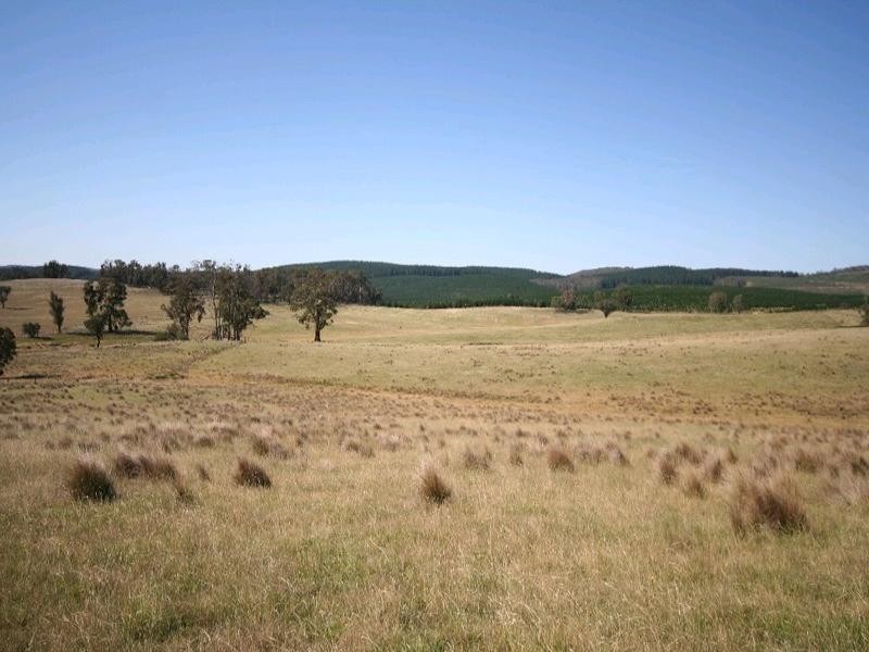 Dark Corner NSW 2795