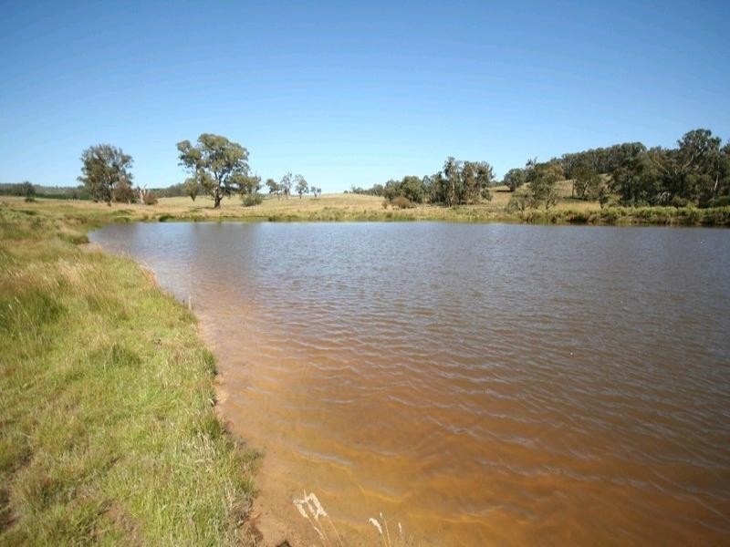 Dark Corner NSW 2795