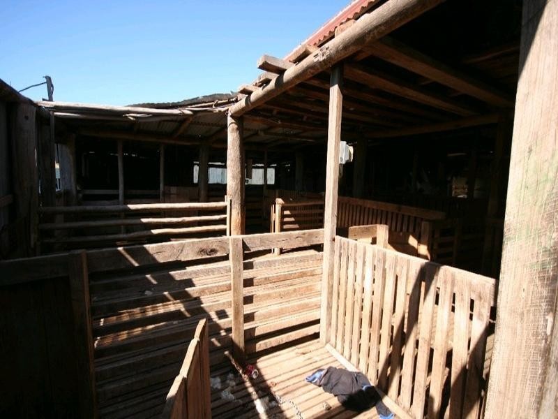 Dark Corner NSW 2795