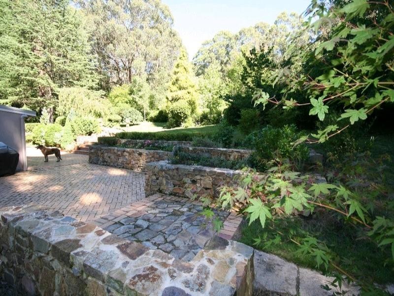 Sunny Corner NSW 2795