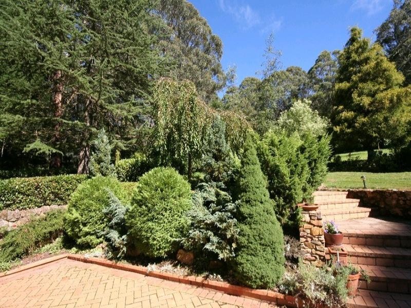 Sunny Corner NSW 2795