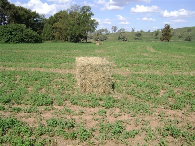 2286 George Russell Drive, Canowindra NSW 2804