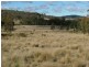 1570 Triangle Flat, Bathurst NSW 2795