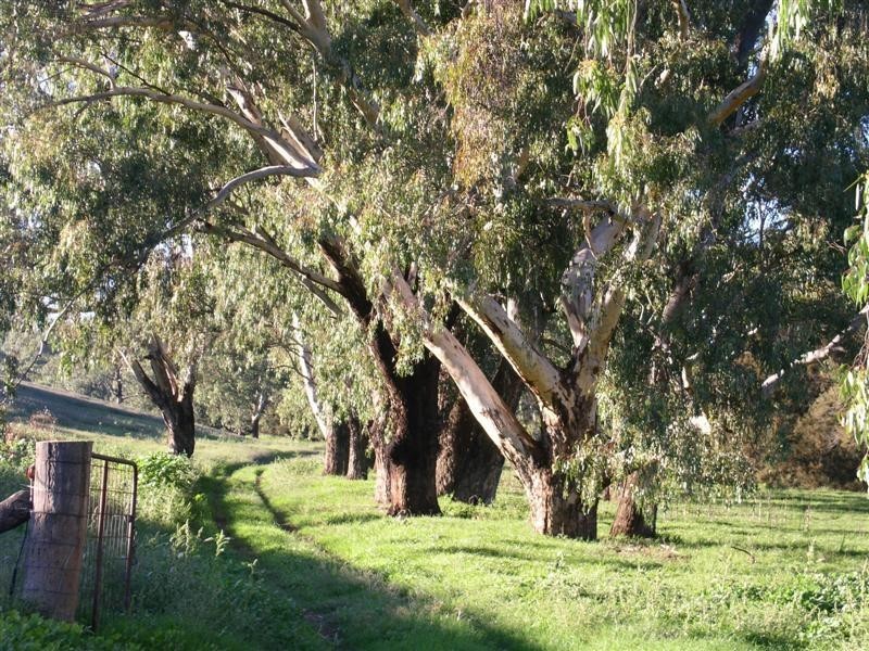 1212 Darbys Falls Road, Cowra NSW 2794