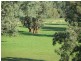 1212 Darbys Falls Road, Cowra NSW 2794