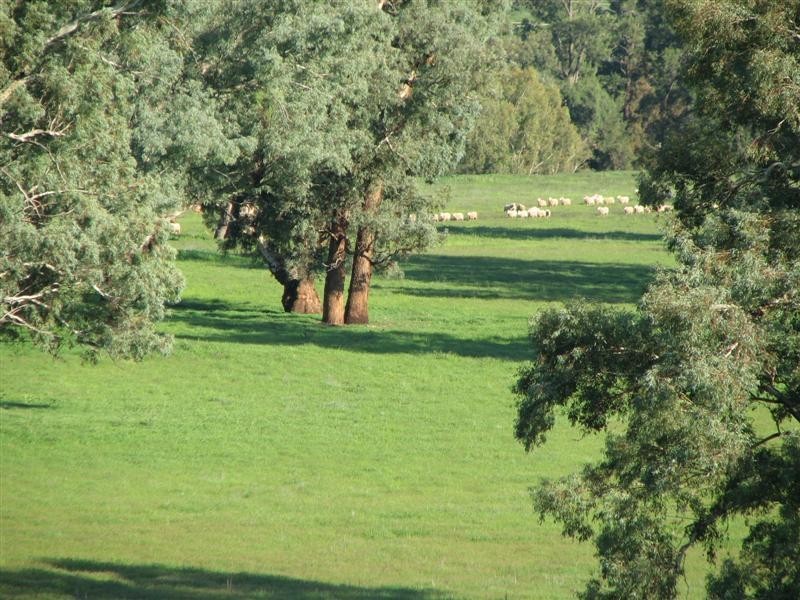 1212 Darbys Falls Road, Cowra NSW 2794
