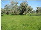 1212 Darbys Falls Road, Cowra NSW 2794