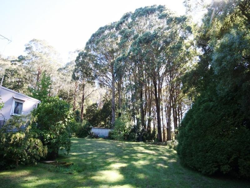 Sunny Corner NSW 2795