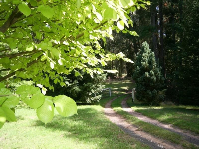 Sunny Corner NSW 2795