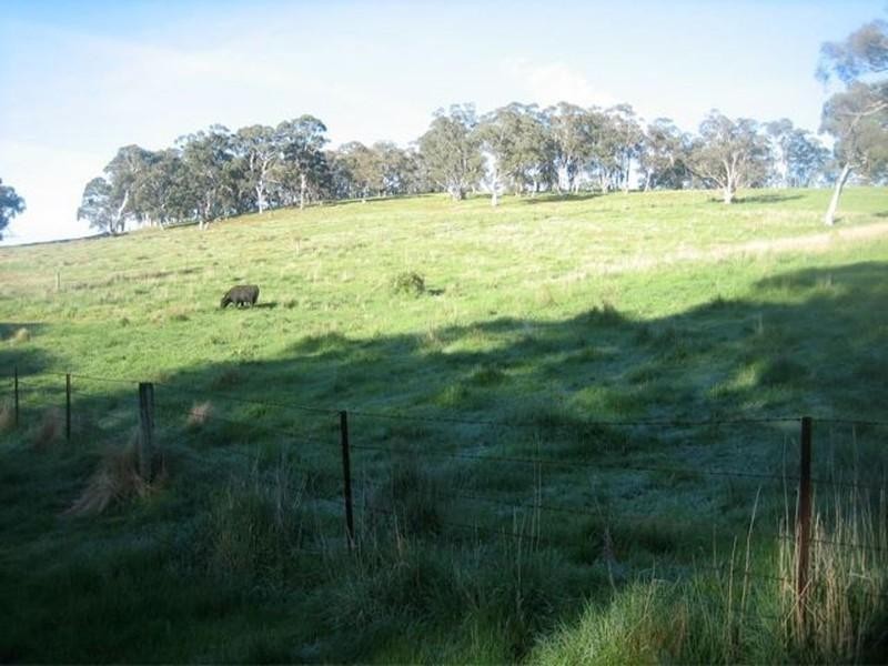 Meadow Flat NSW 2795