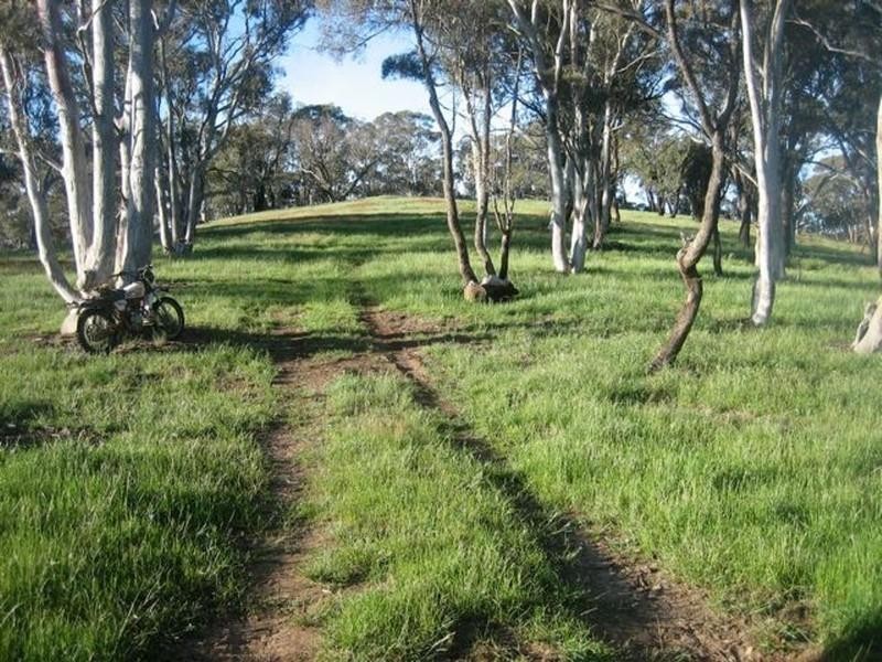 Meadow Flat NSW 2795