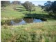 Meadow Flat NSW 2795