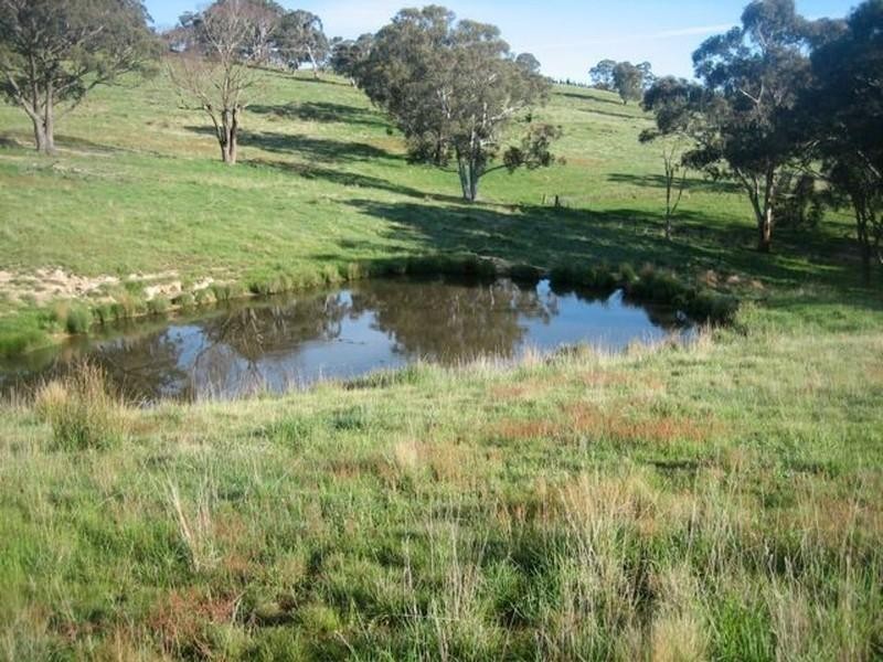 Meadow Flat NSW 2795