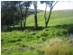 Meadow Flat NSW 2795
