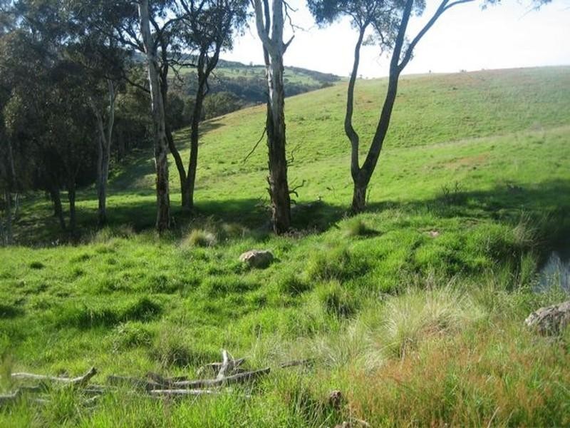 Meadow Flat NSW 2795
