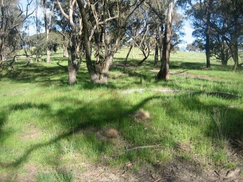 Meadow Flat NSW 2795