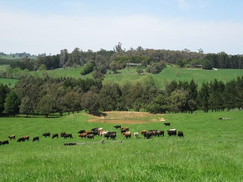 Black Springs NSW 2787