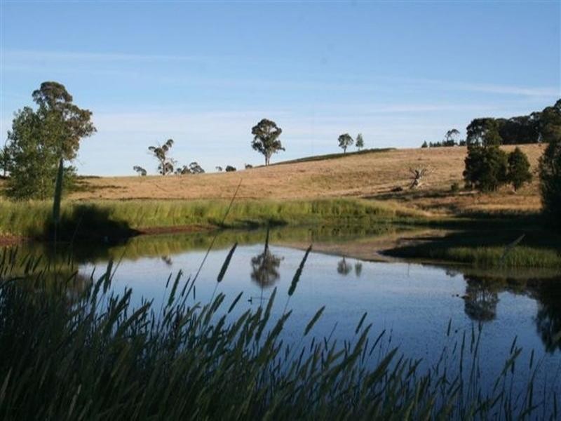 Black Springs NSW 2787