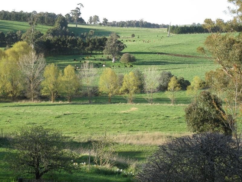 Black Springs NSW 2787