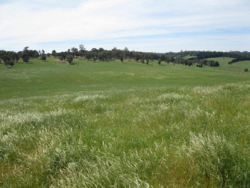 Black Springs NSW 2787