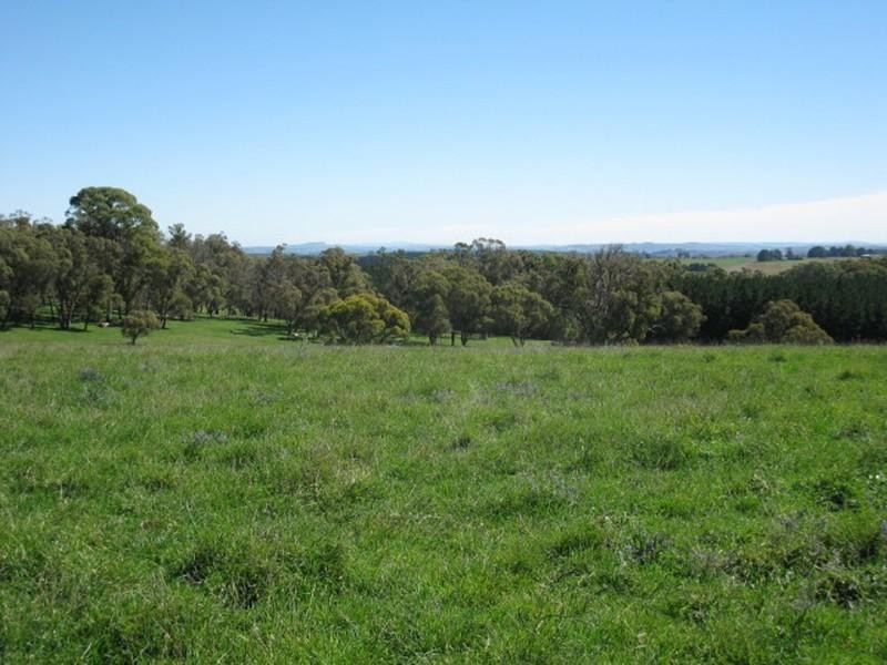 Black Springs NSW 2787