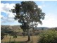 487 Mt McDonald Road, Wyangala NSW 2808