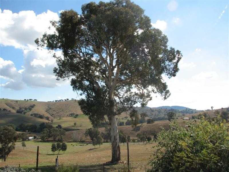 487 Mt McDonald Road, Wyangala NSW 2808