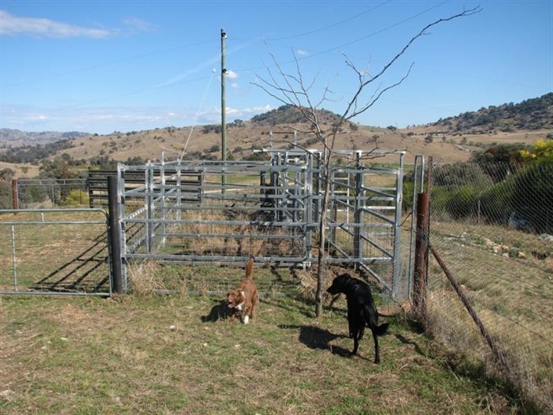 487 Mt McDonald Road, Wyangala NSW 2808