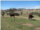 487 Mt McDonald Road, Wyangala NSW 2808