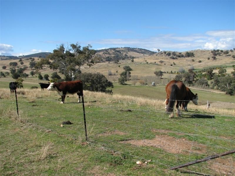 487 Mt McDonald Road, Wyangala NSW 2808