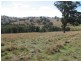 487 Mt McDonald Road, Wyangala NSW 2808