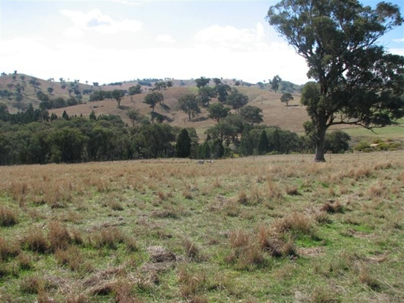487 Mt McDonald Road, Wyangala NSW 2808