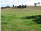 487 Mt McDonald Road, Wyangala NSW 2808