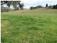487 Mt McDonald Road, Wyangala NSW 2808