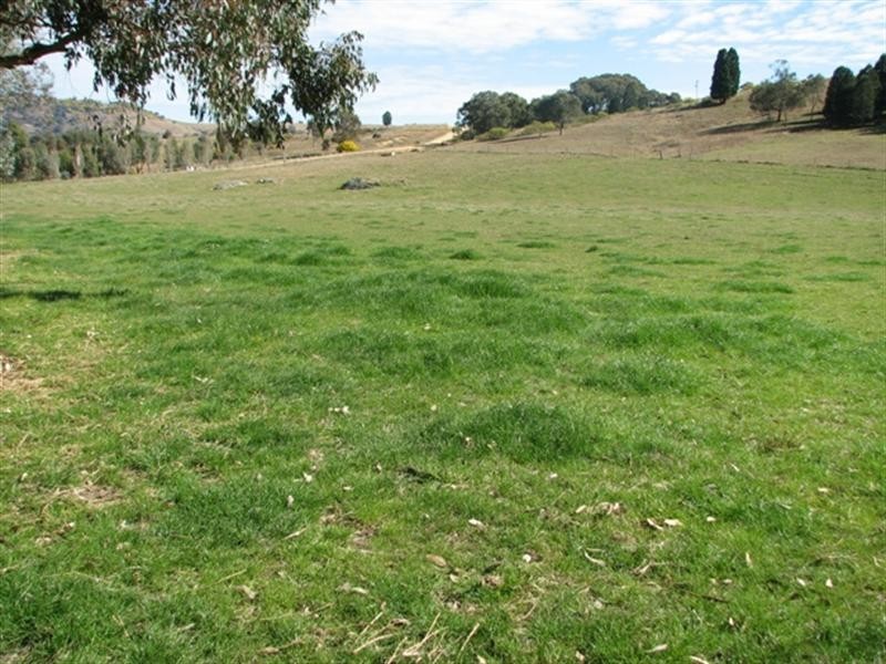 487 Mt McDonald Road, Wyangala NSW 2808
