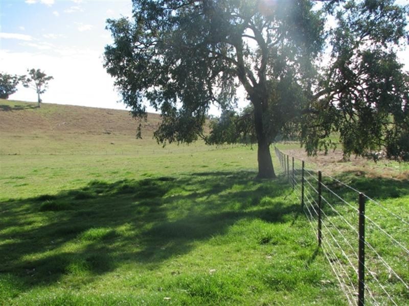 487 Mt McDonald Road, Wyangala NSW 2808