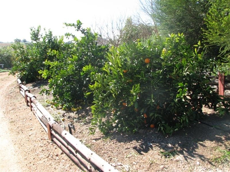 487 Mt McDonald Road, Wyangala NSW 2808